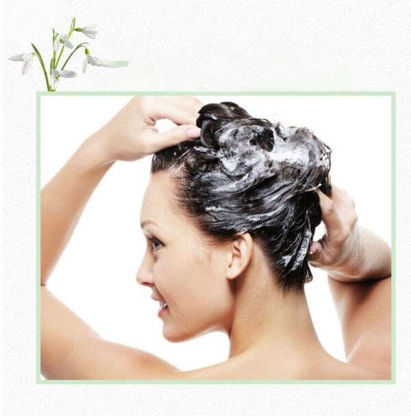 Savon Shampooing Solide au Ginseng & Polygonum – Sans Huile, Enrichi en Huiles Essentielles – Image 9
